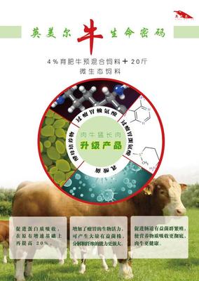 飼料科學(xué) 肉牛吃什么長(zhǎng)得快？——高效增重的飼料搭配策略