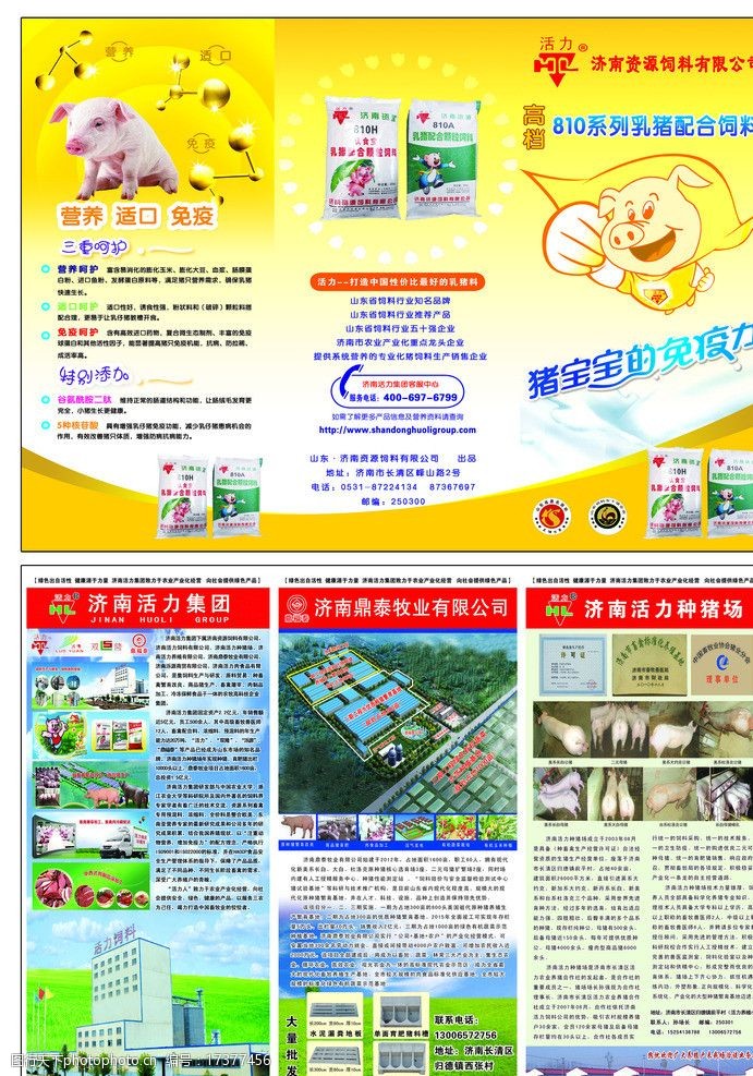 飼料科普折頁(yè)設(shè)計(jì)指南與視覺(jué)素材應(yīng)用